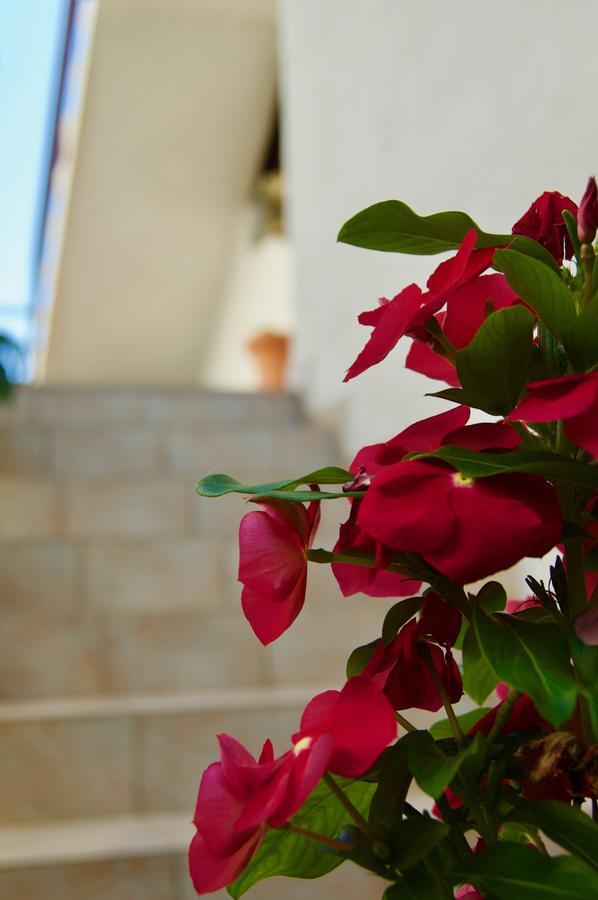 Apartments Petricevic Hvar Exterior photo